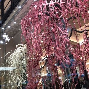 Meet your Posher, Sungmee